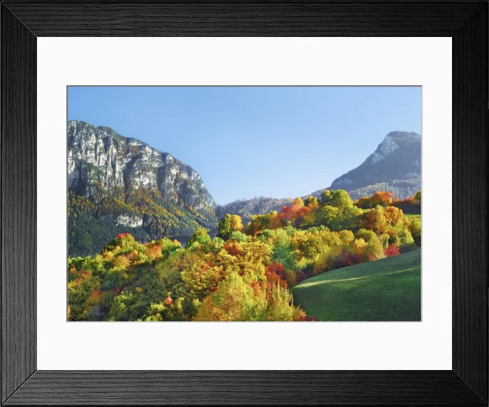 Framed Print : Landscape with deciduous forest in autumn colours - Italy, Trentino-Alto Adige Framed Print : Landscape with deciduous forest in autumn colours - Italy, Trentino-Alto Adige