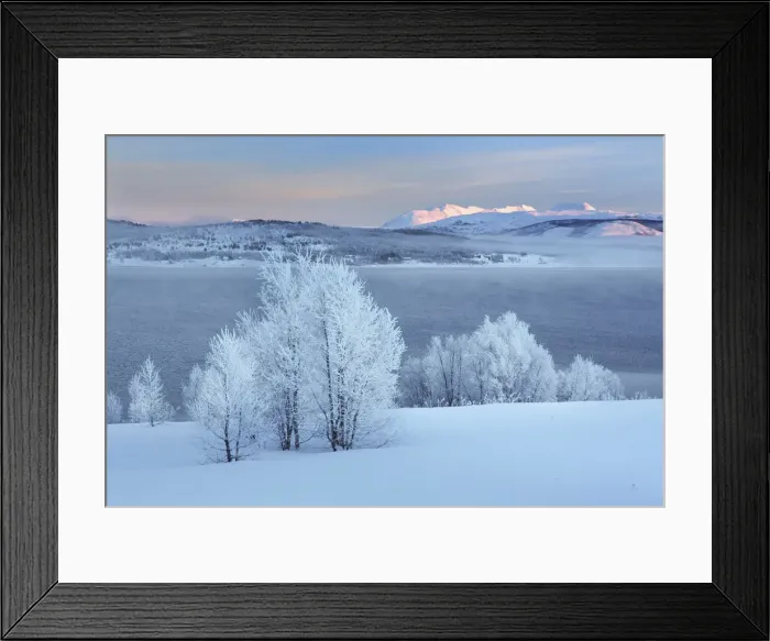 Framed Print : Winter landscape near Lysnes on Senja - Norway, Troms, Senja, Lysnes