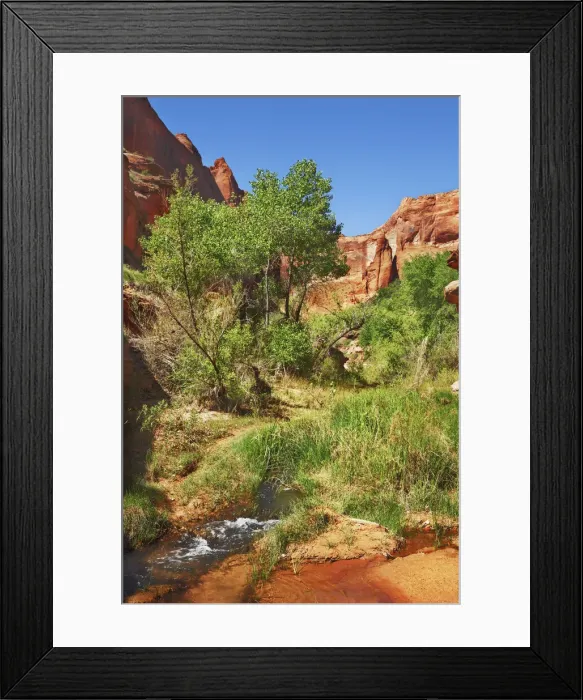 Framed Print : Sandstone erosion landscape im Coyote Gulch - USA, Utah, Kane, Escalante Canyons Framed Print : Sandstone erosion landscape im Coyote Gulch - USA, Utah, Kane, Escalante Canyons