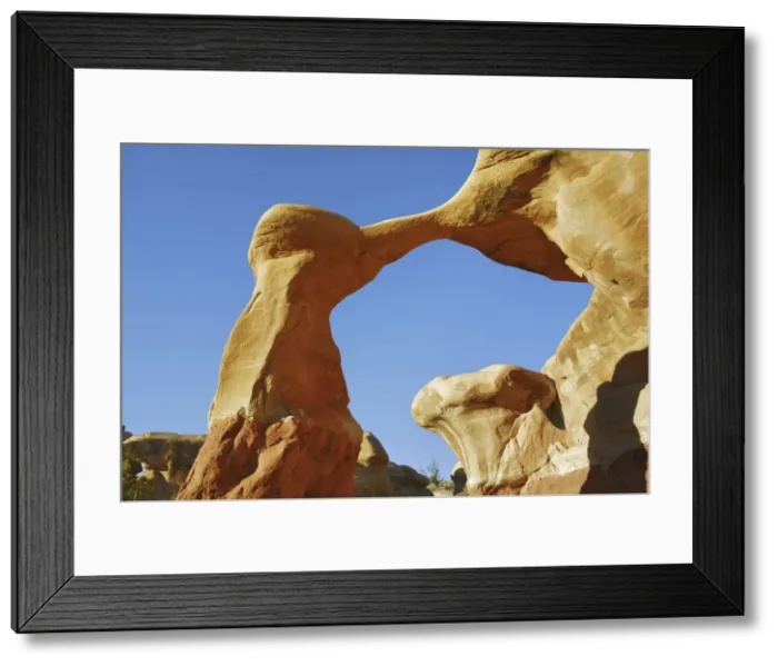 Framed Print : Sandstone erosion landscape in Devils Garden at Metate Arch - USA, Utah, Kane Framed Print : Sandstone erosion landscape in Devils Garden at Metate Arch - USA, Utah, Kane