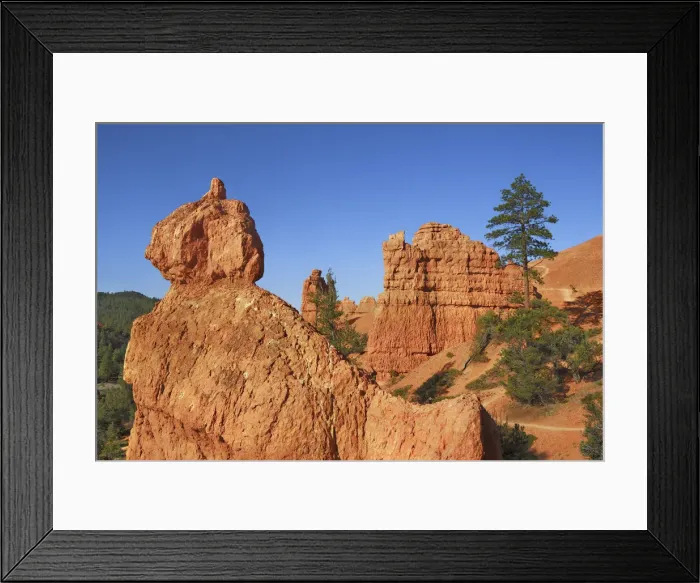 Framed Print : Sandstone erosion landscape in Red Canyon - USA, Utah, Garfield Framed Print : Sandstone erosion landscape in Red Canyon - USA, Utah, Garfield