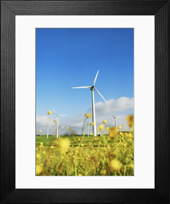 Framed Print : Wind energy plant and crowfoot meadow - Denmark, Jutland, Sydthy, Hurup, Vestervig Framed Print : Wind energy plant and crowfoot meadow - Denmark, Jutland, Sydthy, Hurup, Vestervig