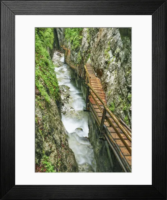 Framed Print : Fixed rope route in forest - Austria, Upper Austria, Kirchdorf an der Krems Framed Print : Fixed rope route in forest - Austria, Upper Austria, Kirchdorf an der Krems