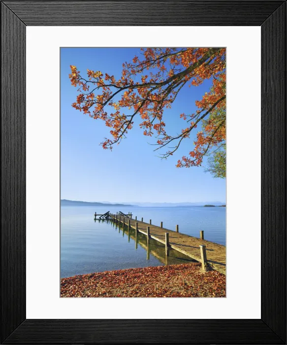 Framed Print : Boardwalk and oak in autumn - Germany, Bavaria, Upper Bavaria, Starnberg, Possenhofen - Funfseenland, Lake Starnberg Framed Print : Boardwalk and oak in autumn - Germany, Bavaria, Upper Bavaria, Starnberg, Possenhofen - Funfseenland, Lake Starnberg