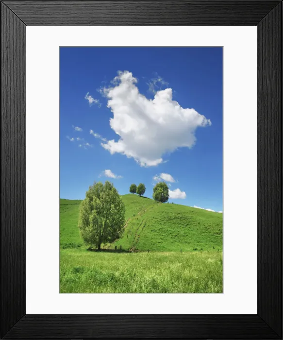 Framed Print : Grass meadow with trees - New Zealand, North Island, Manawatu-Wanganui, Ruapehu Framed Print : Grass meadow with trees - New Zealand, North Island, Manawatu-Wanganui, Ruapehu