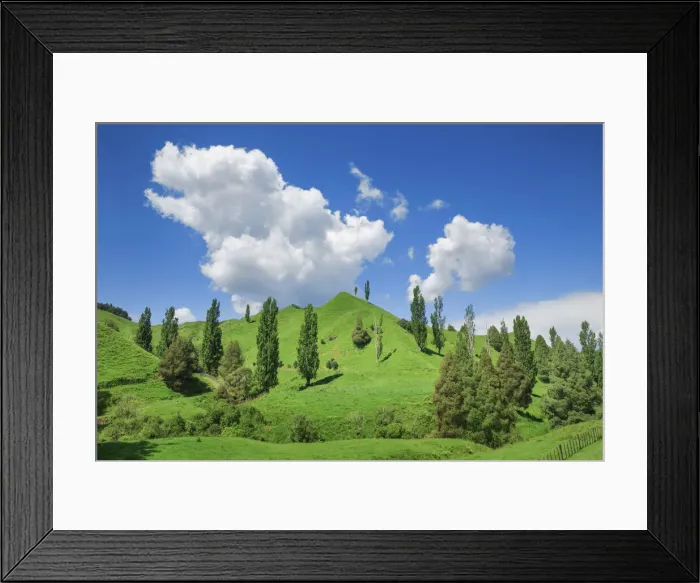 Framed Print : Cultural landscape - New Zealand, North Island, Manawatu-Wanganui, Ruapehu Framed Print : Cultural landscape - New Zealand, North Island, Manawatu-Wanganui, Ruapehu