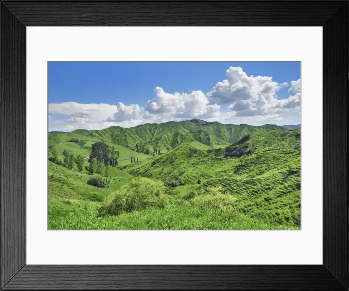 Framed Print : Cultural landscape at Forgotten World Highway - New Zealand, North Island