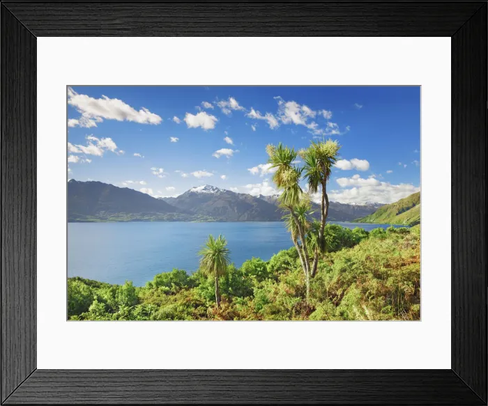 Framed Print : Lake landscape at Lake Wanaka - New Zealand, South Island, Otago, Queenstown Lakes