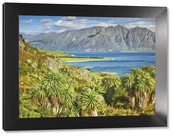Lake landscape with palms at Lake Hawea - New Zealand, South Island, Otago
