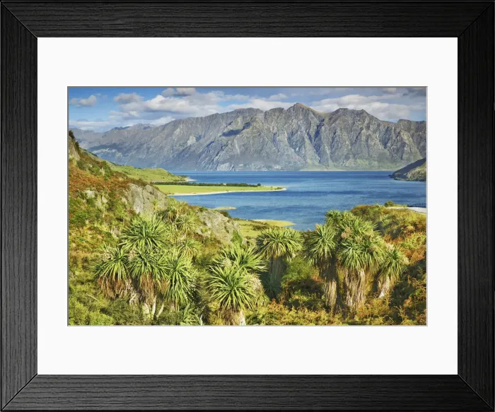 Framed Print : Lake landscape with palms at Lake Hawea - New Zealand, South Island, Otago Framed Print : Lake landscape with palms at Lake Hawea - New Zealand, South Island, Otago