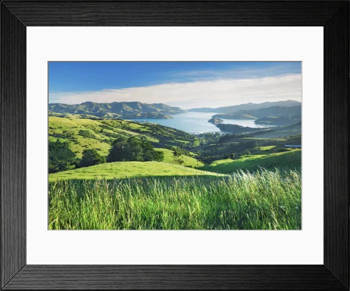 Framed Print : Fjord landscape Akaroa Harbour - New Zealand, South Island, Canterbury, Christchurch Framed Print : Fjord landscape Akaroa Harbour - New Zealand, South Island, Canterbury, Christchurch