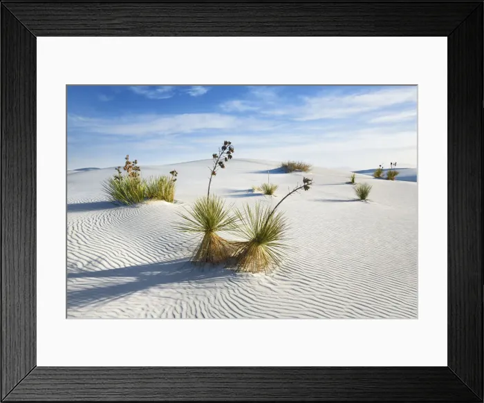Framed Print : Gypsum desert White Sands with Yuccas - USA, New Mexico, Otero Framed Print : Gypsum desert White Sands with Yuccas - USA, New Mexico, Otero