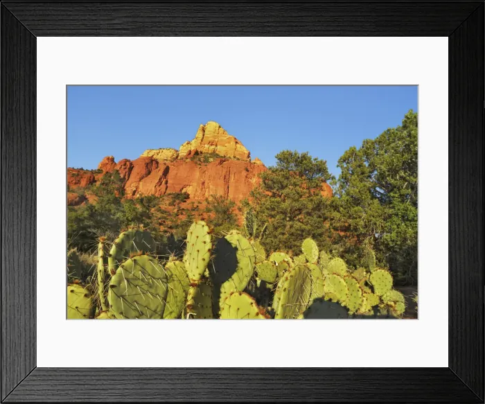 Framed Print : Erosion landscape Twin Buttes und Opuntias - USA, Arizona, Coconino, Sedona Framed Print : Erosion landscape Twin Buttes und Opuntias - USA, Arizona, Coconino, Sedona