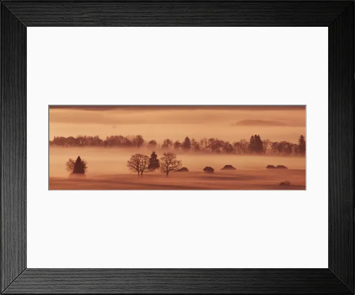 Framed Print : Misty mood in moor - Germany, Bavaria, Upper Bavaria, Bad Tolz-Wolfratshausen, Kochel, Gro√uweil - Alps, Lake Kochel Framed Print : Misty mood in moor - Germany, Bavaria, Upper Bavaria, Bad Tolz-Wolfratshausen, Kochel, Gro√uweil - Alps, Lake Kochel