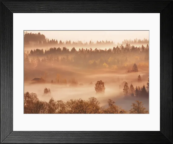 Framed Print : Misty mood in moor - Germany, Bavaria, Upper Bavaria, Bad Tolz-Wolfratshausen, Kochel, Gro√uweil - Alps, Lake Kochel Framed Print : Misty mood in moor - Germany, Bavaria, Upper Bavaria, Bad Tolz-Wolfratshausen, Kochel, Gro√uweil - Alps, Lake Kochel
