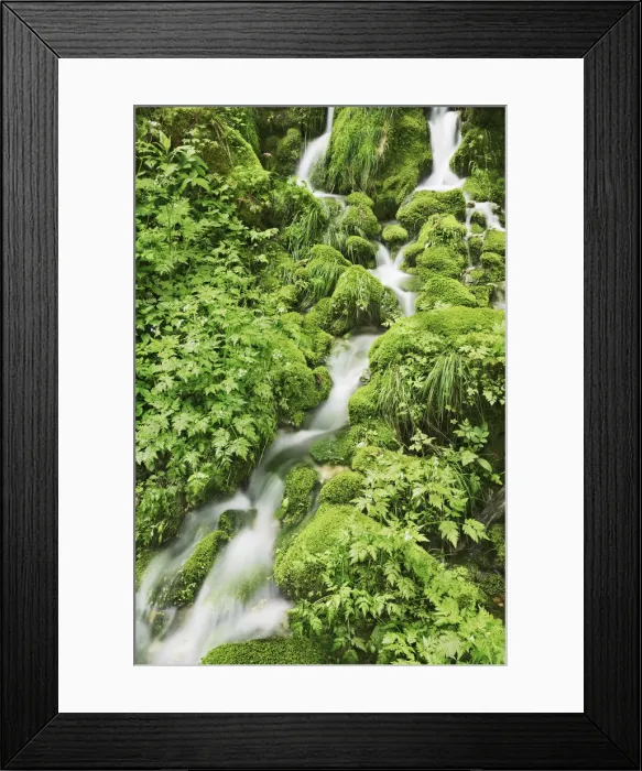 Framed Print : Brook moss covered - France, Bourgogne-Franche-Comte, Doubs, Pontarlier, Guyans-Vennes Framed Print : Brook moss covered - France, Bourgogne-Franche-Comte, Doubs, Pontarlier, Guyans-Vennes
