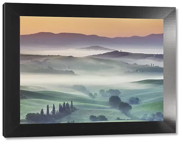 Agricultural landscape in fog - Italy, Tuscany, Siena, Val d Orcia