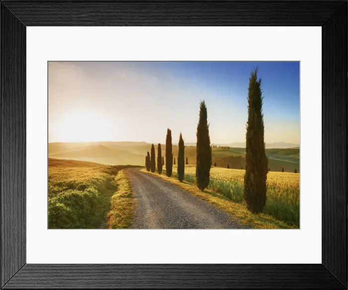 Framed Print : Mediterranean cypress alley - Italy, Tuscany, Siena, Val d Orcia Framed Print : Mediterranean cypress alley - Italy, Tuscany, Siena, Val d Orcia