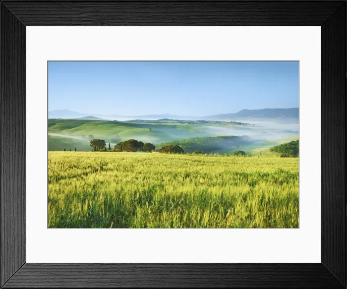 Framed Print : Barley field and fog - Italy, Tuscany, Siena, Val d Orcia