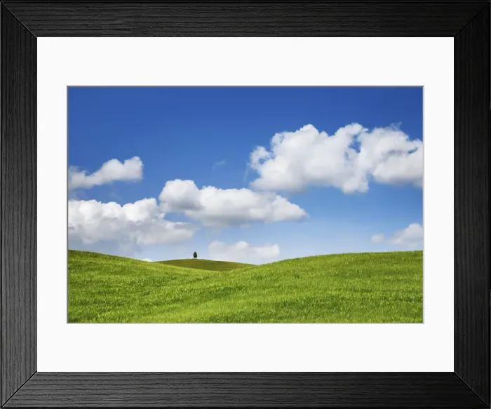 Framed Print : Barley field and cumulonimbus clouds - Italy, Tuscany, Siena, Val d Orcia Framed Print : Barley field and cumulonimbus clouds - Italy, Tuscany, Siena, Val d Orcia