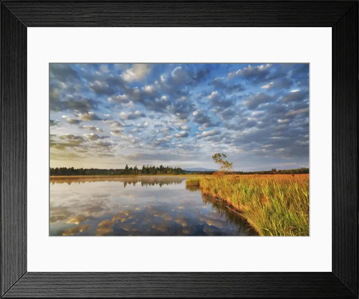 Framed Print : Moor lake and clouds - Germany, Bavaria, Upper Bavaria, Bad Tolz-Wolfratshausen, Kirchsee