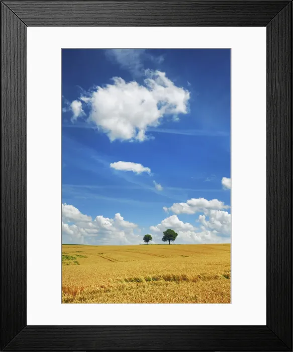 Framed Print : Wheat field and cumulonimbus clouds - Germany, Bavaria, Upper Bavaria, Freising Framed Print : Wheat field and cumulonimbus clouds - Germany, Bavaria, Upper Bavaria, Freising