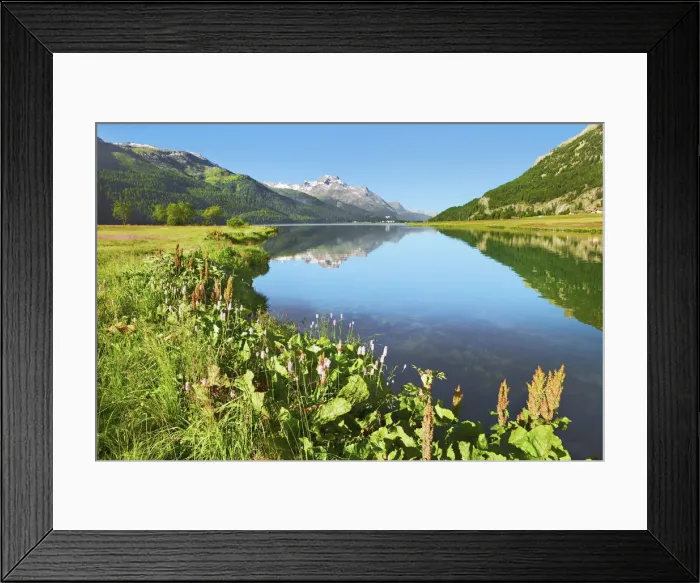 Framed Print : Mountain impression mirroring Bernina Group in Lake Silvaplana - Switzerland, Graubunden Framed Print : Mountain impression mirroring Bernina Group in Lake Silvaplana - Switzerland, Graubunden