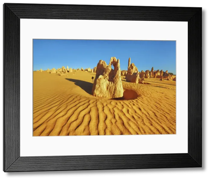 Framed Print : Erosion landscape Pinnacles - Australia, Western Australia, Midwest