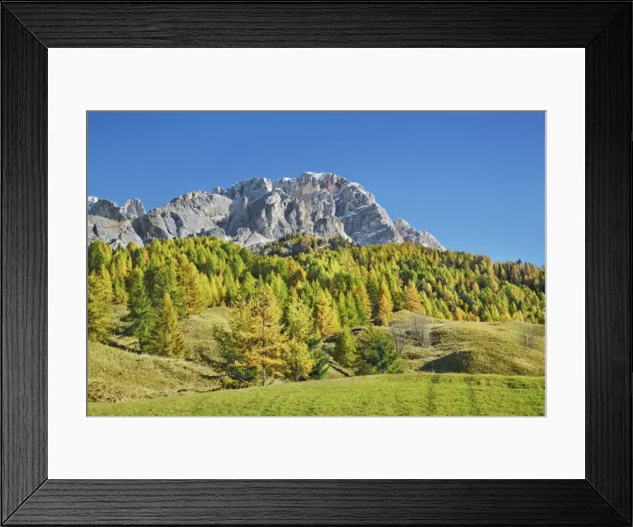 Framed Print : Mountain impression Monte Cristallo and larches in autumn - Italy, Veneto, Belluno Framed Print : Mountain impression Monte Cristallo and larches in autumn - Italy, Veneto, Belluno