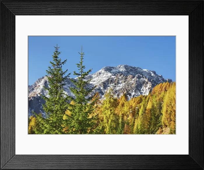 Framed Print : Mountain impression Latemar and larches in autumn - Italy, Trentino-Alto Adige Framed Print : Mountain impression Latemar and larches in autumn - Italy, Trentino-Alto Adige