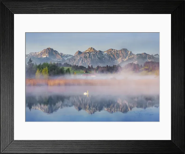Framed Print : Pond in alpine upland - Germany, Bavaria, Swabia, Forggensee, Rosshaupten Framed Print : Pond in alpine upland - Germany, Bavaria, Swabia, Forggensee, Rosshaupten