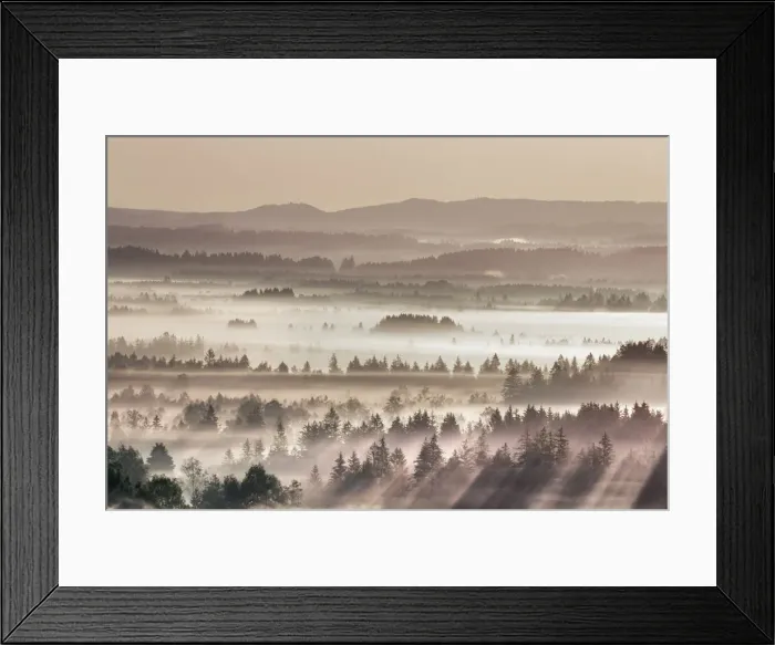 Framed Print : Fog impression at Sindelbachfilz - Germany, Bavaria, Upper Bavaria, Bad Tolz-Wolfratshausen, Kochel, Grossweil - Alps, Lake Kochel Framed Print : Fog impression at Sindelbachfilz - Germany, Bavaria, Upper Bavaria, Bad Tolz-Wolfratshausen, Kochel, Grossweil - Alps, Lake Kochel
