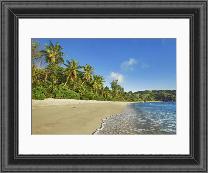 Antique Framed Print : Coconutpalm shore at Anse Takamaka - Seychelles, Mahe, Anse Takamaka - Indian Ocean Antique Framed Print : Coconutpalm shore at Anse Takamaka - Seychelles, Mahe, Anse Takamaka - Indian Ocean