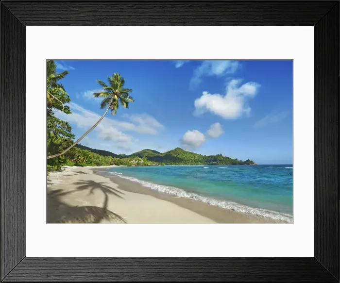 Framed Print : Beach impression with coconut palm an der Petite Anse - Seychelles, Mahe Framed Print : Beach impression with coconut palm an der Petite Anse - Seychelles, Mahe