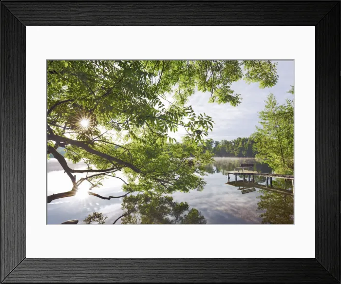Framed Print : Ash at lake - Germany, Bavaria, Upper Bavaria, Starnberg, Seefeld, Wessling - Funfseenland, Wesslinger See Framed Print : Ash at lake - Germany, Bavaria, Upper Bavaria, Starnberg, Seefeld, Wessling - Funfseenland, Wesslinger See