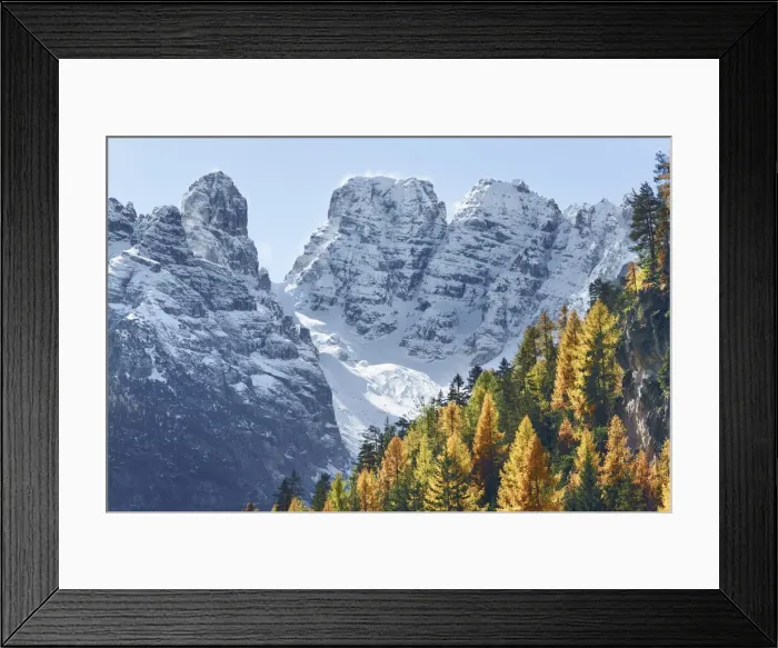 Framed Print : Mountain impression larch forest and Gruppo del Cristallo - Italy, Trentino-Alto Adige Framed Print : Mountain impression larch forest and Gruppo del Cristallo - Italy, Trentino-Alto Adige