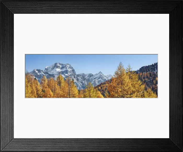 Framed Print : Mountain impression larch forest and Sorapis - Italy, Veneto, Belluno Framed Print : Mountain impression larch forest and Sorapis - Italy, Veneto, Belluno