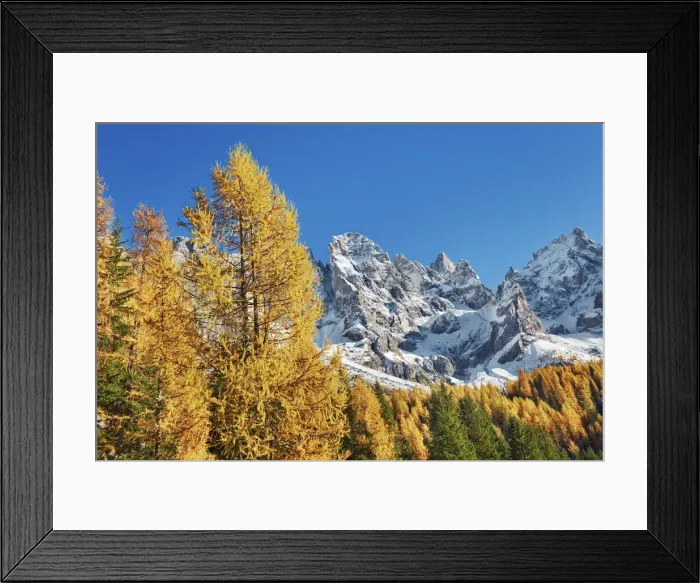 Framed Print : Mountain impression larch forest and Pale di San Martino - Italy, Trentino-Alto Adige Framed Print : Mountain impression larch forest and Pale di San Martino - Italy, Trentino-Alto Adige
