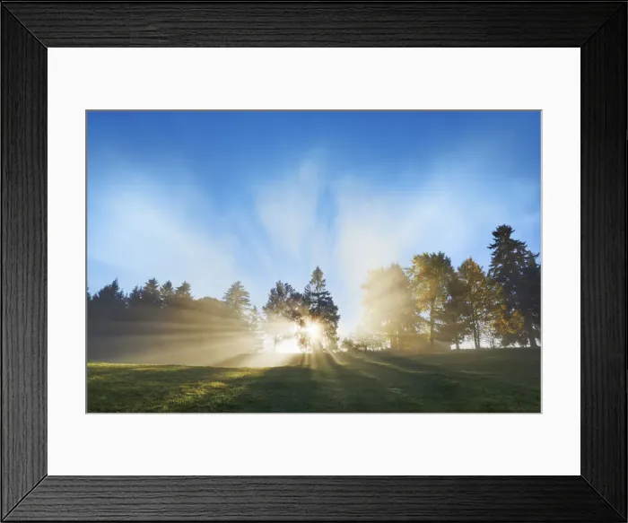 Framed Print : Sunrays in fog - Germany, Bavaria, Swabia, OstAllgau, Illasbergsee - Allgau, Forggensee Framed Print : Sunrays in fog - Germany, Bavaria, Swabia, OstAllgau, Illasbergsee - Allgau, Forggensee