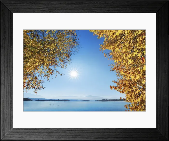 Framed Print : Lime tree in autumn and lake - Germany, Bavaria, Upper Bavaria, Garmisch-Partenkirchen Framed Print : Lime tree in autumn and lake - Germany, Bavaria, Upper Bavaria, Garmisch-Partenkirchen
