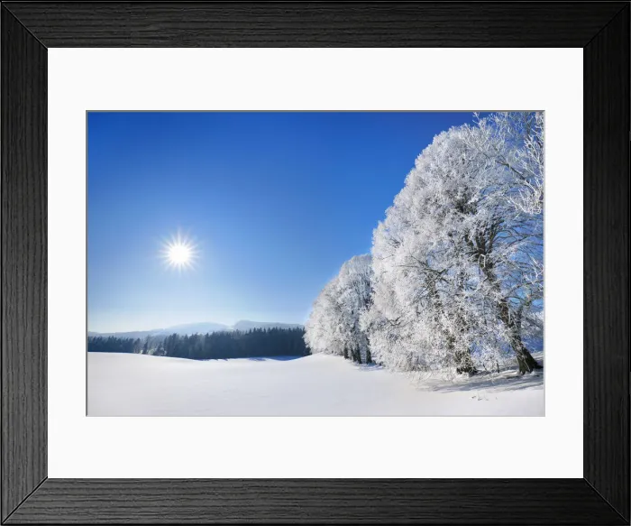 Framed Print : Winter landscape with hoar frost - Germany, Bavaria, Upper Bavaria, Miesbach Framed Print : Winter landscape with hoar frost - Germany, Bavaria, Upper Bavaria, Miesbach