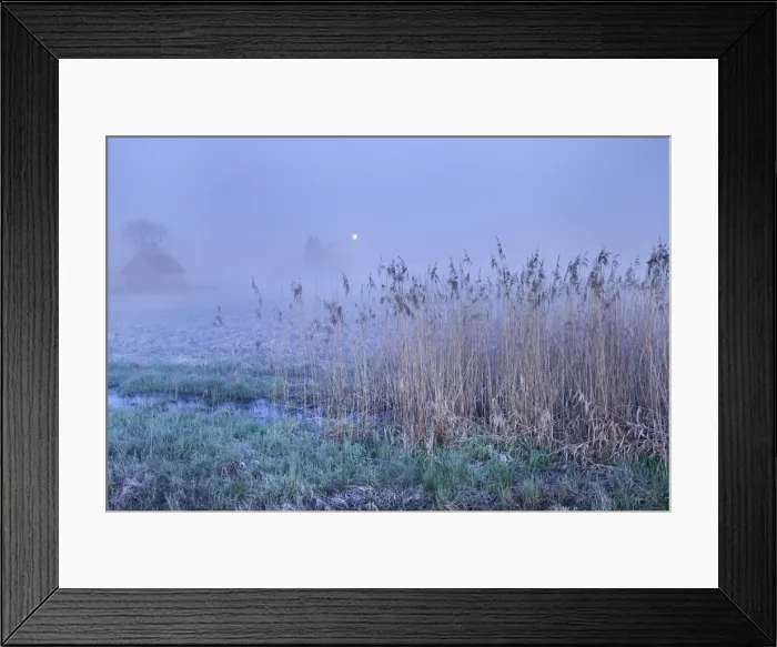 Framed Print : Moorland and moon - Germany, Baden-Wurttemberg, Tubingen, Biberach Framed Print : Moorland and moon - Germany, Baden-Wurttemberg, Tubingen, Biberach