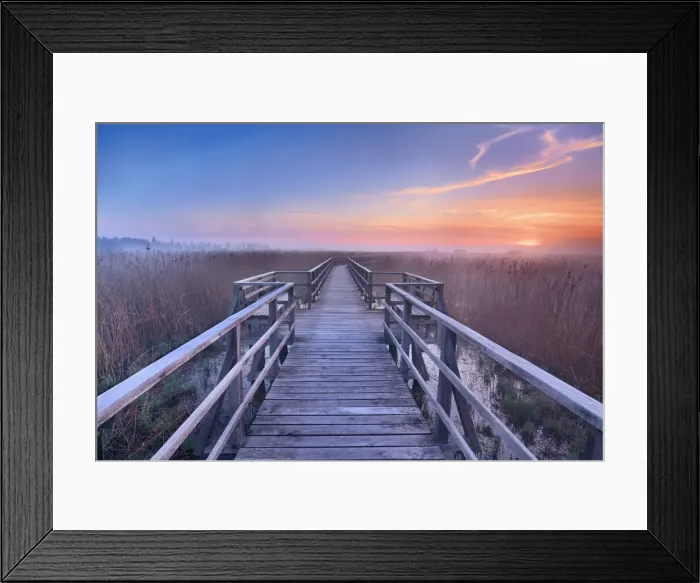 Framed Print : Boardwalk through moor - Germany, Baden-Wurttemberg, Tubingen, Biberach
