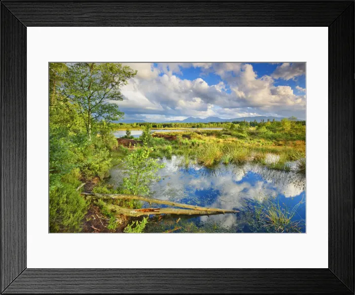 Framed Print : Moorland at Schoenramer Filz - Germany, Bavaria, Upper Bavaria, Berchtesgadener Land Framed Print : Moorland at Schoenramer Filz - Germany, Bavaria, Upper Bavaria, Berchtesgadener Land