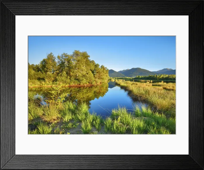 Framed Print : Moorland with birches - Germany, Bavaria, Upper Bavaria, Rosenheim, Raubling, Nicklheim Framed Print : Moorland with birches - Germany, Bavaria, Upper Bavaria, Rosenheim, Raubling, Nicklheim