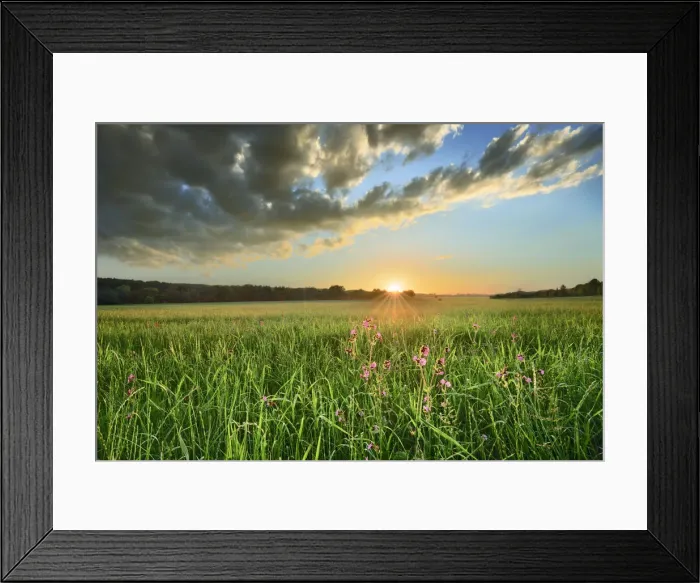 Framed Print : Cloud mood and red campions - Germany, Bavaria, Upper Bavaria, Berchtesgadener Land Framed Print : Cloud mood and red campions - Germany, Bavaria, Upper Bavaria, Berchtesgadener Land