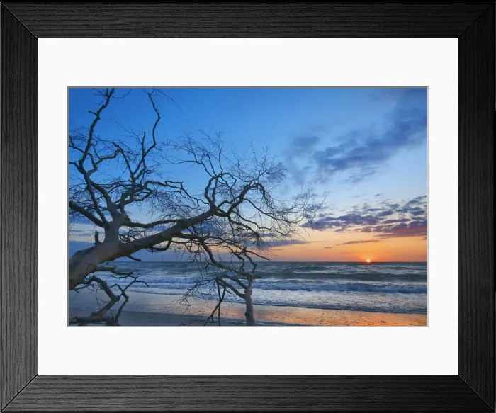 Framed Print : Sunset impression at sea with dead wood - Germany, Mecklenburg-Vorpommern Framed Print : Sunset impression at sea with dead wood - Germany, Mecklenburg-Vorpommern