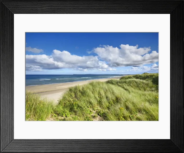 Framed Print : Dune landscape - United Kingdom, Scotland, Caithness, Sinclair Bay Framed Print : Dune landscape - United Kingdom, Scotland, Caithness, Sinclair Bay