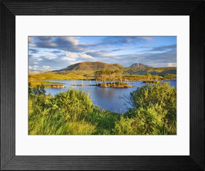 Framed Print : Island with pines - United Kingdom, Scotland, Sutherland, Loch Assynt - Highlands Framed Print : Island with pines - United Kingdom, Scotland, Sutherland, Loch Assynt - Highlands