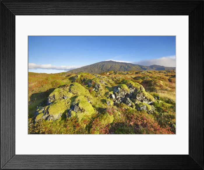 Framed Print : Tundra landscape at Snaefellsjokull - Iceland, Western Region, Snaefellsness, Londrangar Framed Print : Tundra landscape at Snaefellsjokull - Iceland, Western Region, Snaefellsness, Londrangar